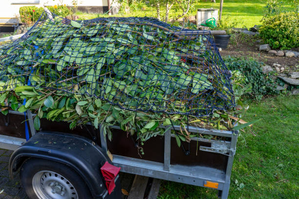 Best Estate Cleanout  in Grand Marais, MN